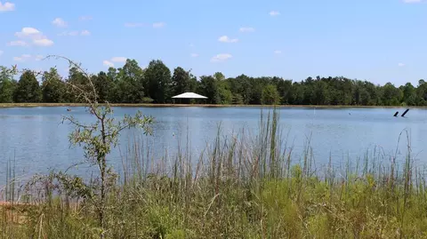 7 Frontier Bend, Sumrall, MS 39482 photo 28