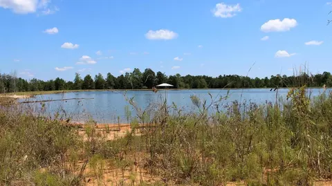 7 Frontier Bend, Sumrall, MS 39482 photo 26