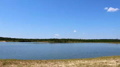 7 Frontier Bend, Sumrall, MS 39482 photo 20