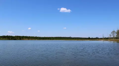 7 Frontier Bend, Sumrall, MS 39482 photo 29