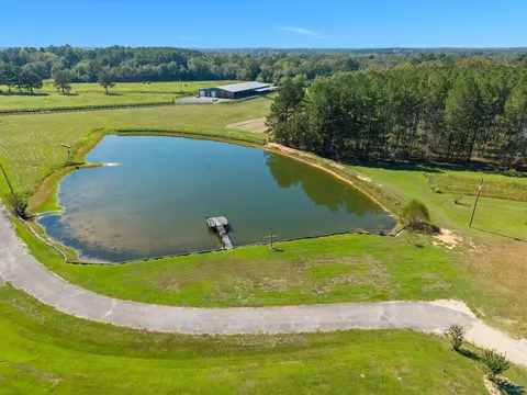 View/Area - 46 Big View Dr, Laurel, MS 39443 photo 8 of 17