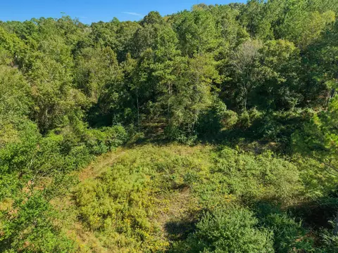 View/Area - 46 Big View Dr, Laurel, MS 39443 photo 5 of 17