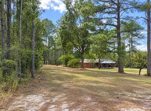 1425 Freeman Town, Richton, MS 39476 photo 10