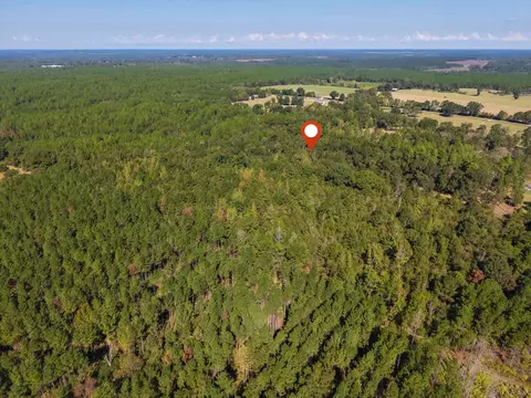 473 Dobson Rd, Purvis, MS 39475 photo 18