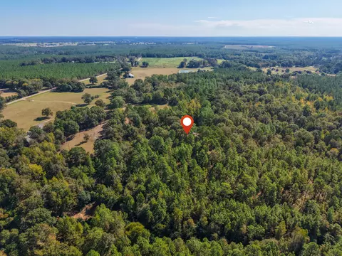 473 Dobson Rd, Purvis, MS 39475 photo 15