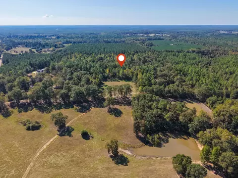473 Dobson Rd, Purvis, MS 39475 photo 13