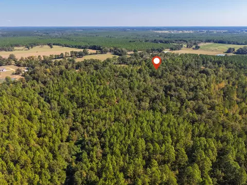 473 Dobson Rd, Purvis, MS 39475 photo 16