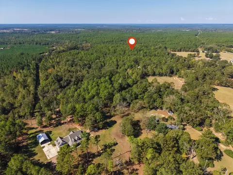 473 Dobson Rd, Purvis, MS 39475 photo 19