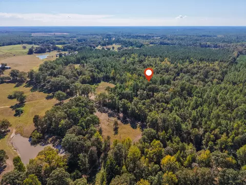 473 Dobson Rd, Purvis, MS 39475 photo 14