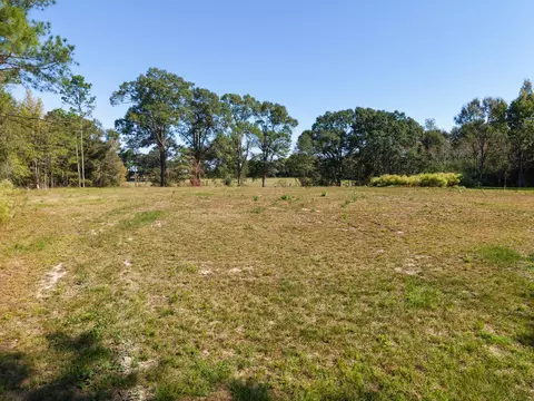 473 Dobson Rd, Purvis, MS 39475 photo 5