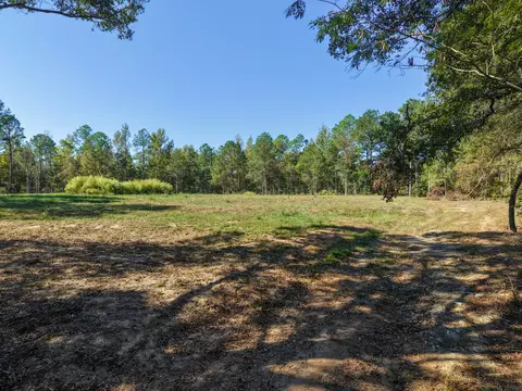 473 Dobson Rd, Purvis, MS 39475 photo 3