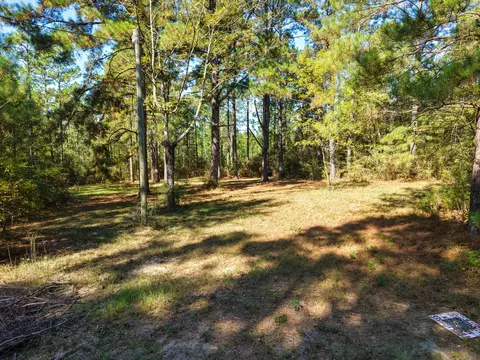 473 Dobson Rd, Purvis, MS 39475 photo 11