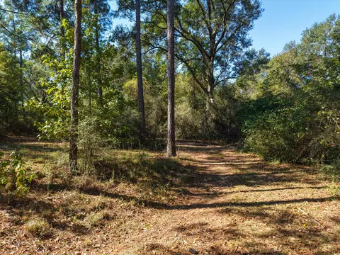 473 Dobson Rd, Purvis, MS 39475 photo 7