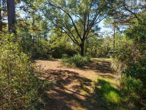 473 Dobson Rd, Purvis, MS 39475 photo 8