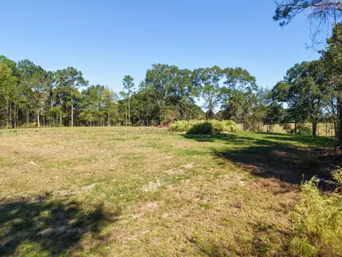 473 Dobson Rd, Purvis, MS 39475 photo 6