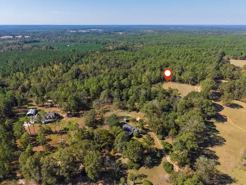 473 Dobson Rd, Purvis, MS 39475 photo 20