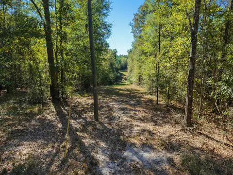 473 Dobson Rd, Purvis, MS 39475 photo 12