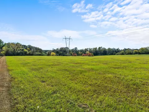 000 Walters Rd, Petal, MS 39465 photo 3