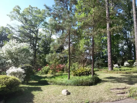 3304 Franklin Ave, Laurel, MS 39440 photo 5
