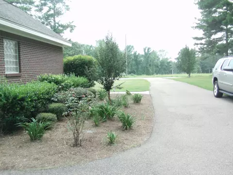 128 Layton Rd, Collins, MS 39428 photo 23