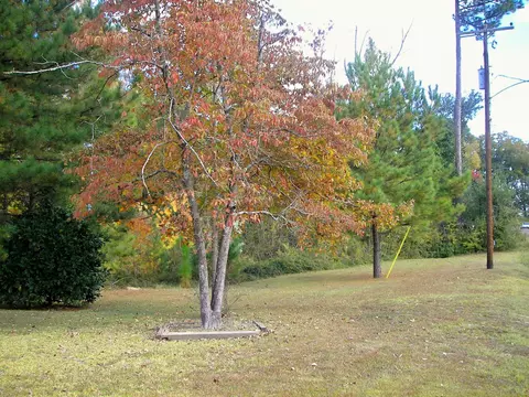 133 Lindsey Dr, Laurel, MS 39440 photo 17