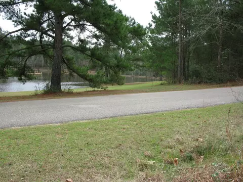94 Phillips Rd, Sumrall, MS 39482 photo 2