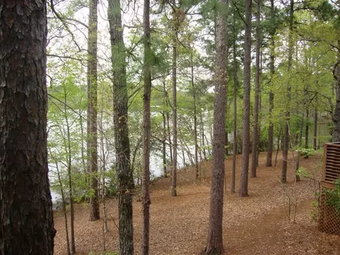 66 Hickory Hills Loop, Purvis, MS 39475 photo 6