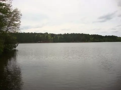 66 Hickory Hills Loop, Purvis, MS 39475 photo 28
