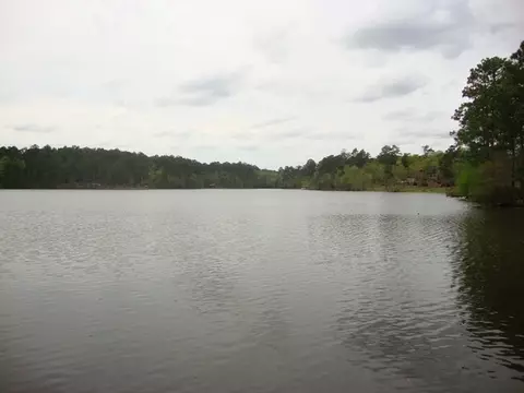 66 Hickory Hills Loop, Purvis, MS 39475 photo 30