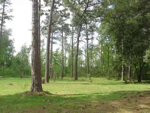 51 Rockhill To Brooklyn Rd, Brooklyn, MS 39425 photo 5