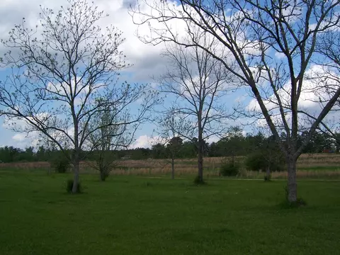 265 Foster Rd, Sumrall, MS 39482 photo 3