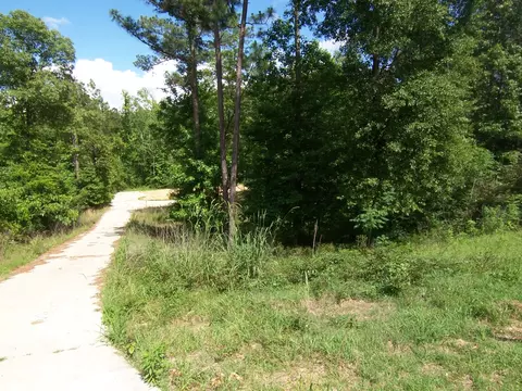 56 Winding Brk, Sumrall, MS 39482 photo 2