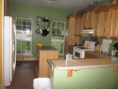 236 Munn Rd, Sumrall, MS 39482 photo 14