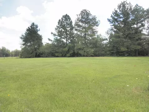 26 Morgan Ln, Purvis, MS 39475 photo 12