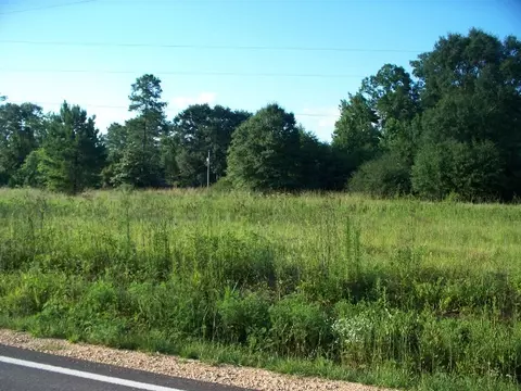 20 Harold Tucker Rd, Purvis, MS 39475 photo 1