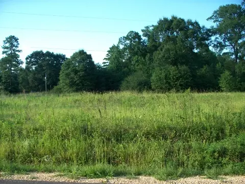 20 Harold Tucker Rd, Purvis, MS 39475 photo 2
