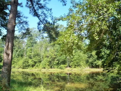 153 Smith Chapel Rd, Laurel, MS 39443 photo 16