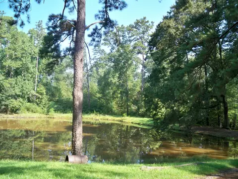 153 Smith Chapel Rd, Laurel, MS 39443 photo 15
