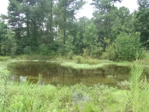 604 Nobles Rd, Sumrall, MS 39482 photo 10