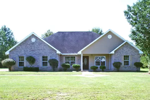 33 Palm Tree Loop, Petal, MS 39465 photo 1
