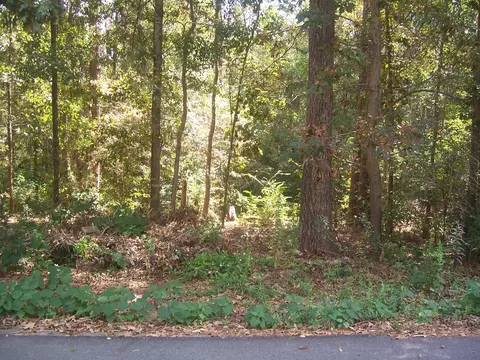lot7 Powe Rd, Purvis, MS 39475 photo 1