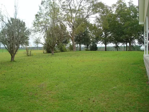 40 Terrell Rd, Purvis, MS 39475 photo 3