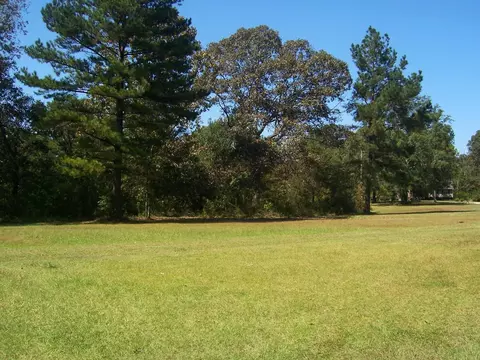173 Cooper Rd, Purvis, MS 39475 photo 9