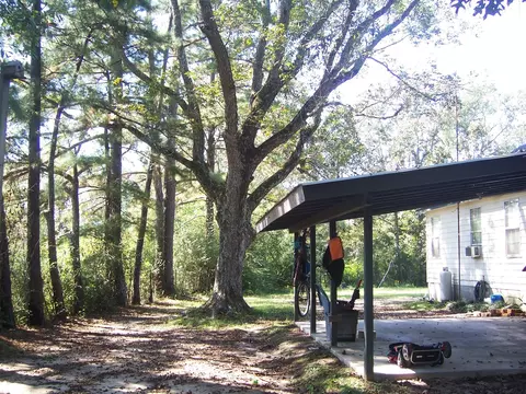 173 Cooper Rd, Purvis, MS 39475 photo 8