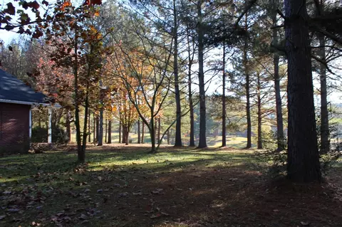 116 Phillips, Sumrall, MS 39482 photo 32