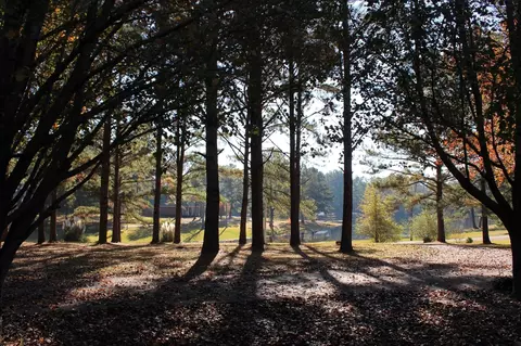 116 Phillips, Sumrall, MS 39482 photo 4