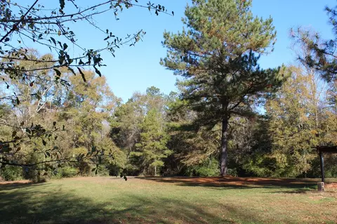 116 Phillips, Sumrall, MS 39482 photo 38