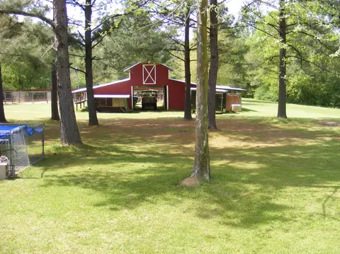 116 Phillips, Sumrall, MS 39482 photo 51