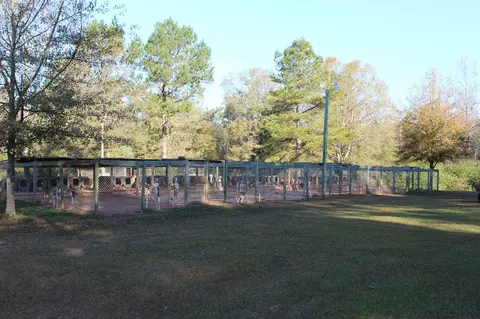 116 Phillips, Sumrall, MS 39482 photo 35