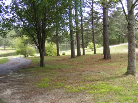 116 Phillips, Sumrall, MS 39482 photo 73
